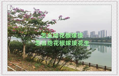 怎么给花椒嫁接 怎么给花椒嫁接花生